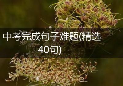 中考完成句子难题(精选40句)