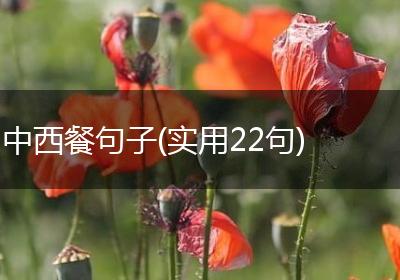 中西餐句子(实用22句)