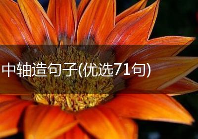 中轴造句子(优选71句)
