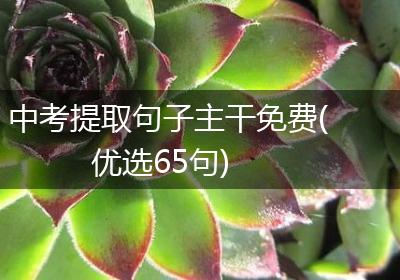 中考提取句子主干免费(优选65句)
