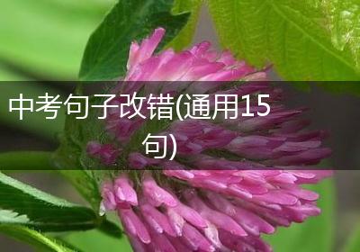中考句子改错(通用15句)