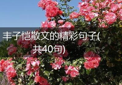 丰子恺散文的精彩句子(共40句)