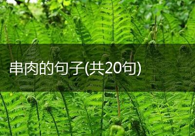 串肉的句子(共20句)