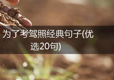 为了考驾照经典句子(优选20句)