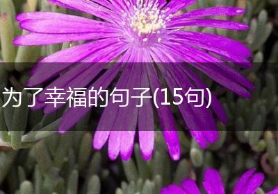 为了幸福的句子(15句)