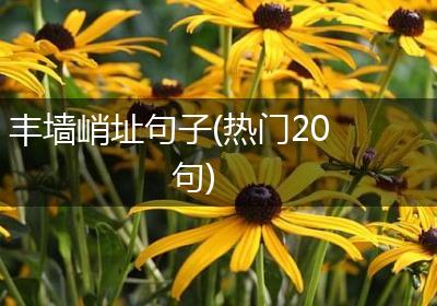 丰墙峭址句子(热门20句)