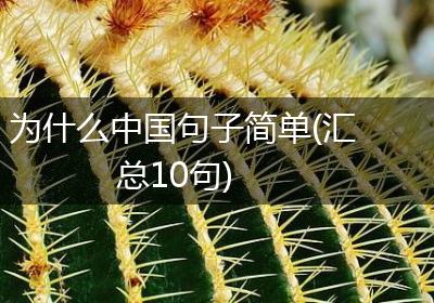为什么中国句子简单(汇总10句)