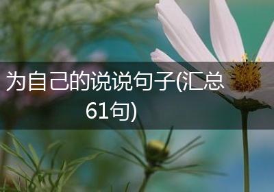 为自己的说说句子(汇总61句)