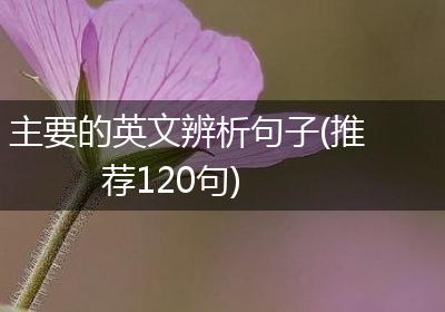 主要的英文辨析句子(推荐120句)