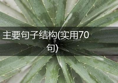 主要句子结构(实用70句)