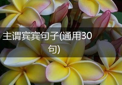 主谓宾宾句子(通用30句)