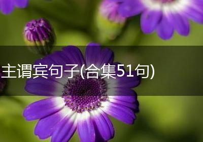 主谓宾句子(合集51句)