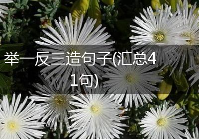 举一反三造句子(汇总41句)