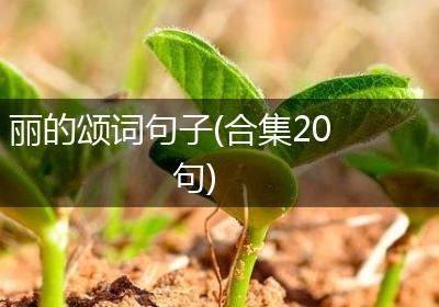 丽的颂词句子(合集20句)