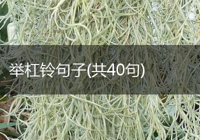 举杠铃句子(共40句)