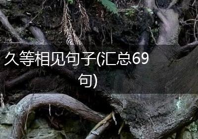 久等相见句子(汇总69句)