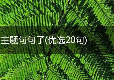 主题句句子(优选20句)