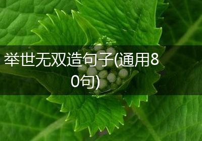 举世无双造句子(通用80句)