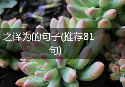 之译为的句子(推荐81句)