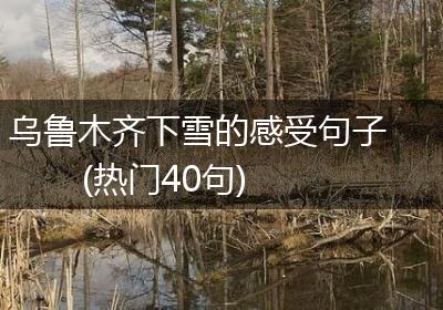 乌鲁木齐下雪的感受句子(热门40句)
