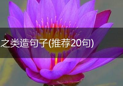 之类造句子(推荐20句)