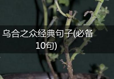 乌合之众经典句子(必备10句)