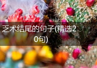 乏术结尾的句子(精选20句)