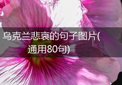 乌克兰悲哀的句子图片(通用80句)
