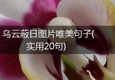乌云蔽日图片唯美句子(实用20句)