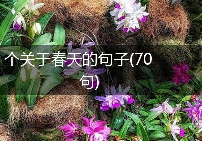 个关于春天的句子(70句)