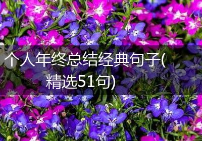 个人年终总结经典句子(精选51句)