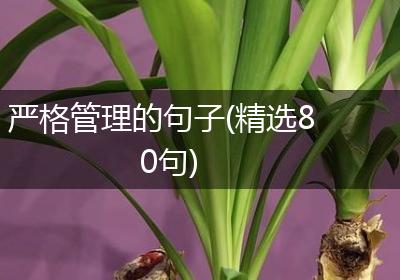 严格管理的句子(精选80句)