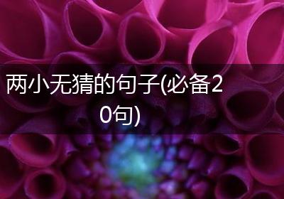 两小无猜的句子(必备20句)