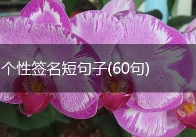个性签名短句子(60句)