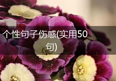 个性句子伤感(实用50句)