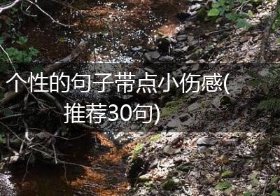 个性的句子带点小伤感(推荐30句)