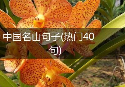 中国名山句子(热门40句)
