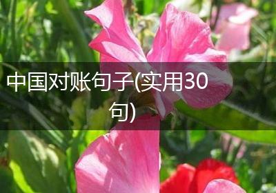 中国对账句子(实用30句)