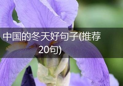 中国的冬天好句子(推荐20句)