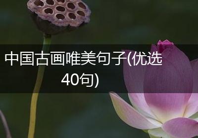 中国古画唯美句子(优选40句)