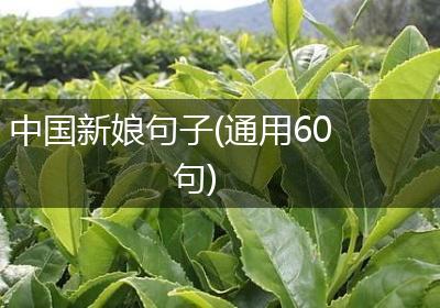 中国新娘句子(通用60句)