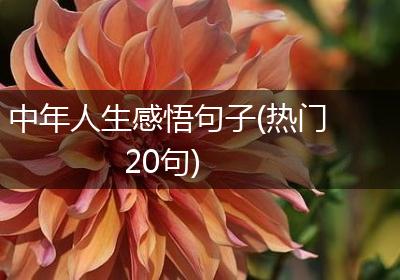中年人生感悟句子(热门20句)