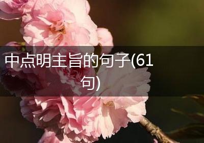 中点明主旨的句子(61句)