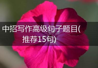 中招写作高级句子题目(推荐15句)