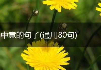 中意的句子(通用80句)