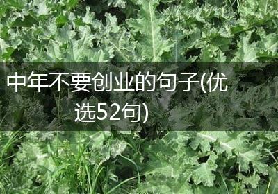 中年不要创业的句子(优选52句)