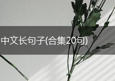 中文长句子(合集20句)