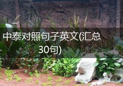中泰对照句子英文(汇总30句)