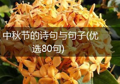 中秋节的诗句与句子(优选80句)