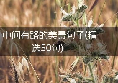 中间有路的美景句子(精选50句)